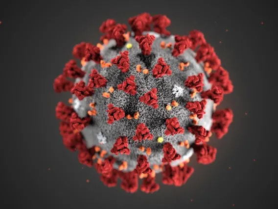 coronavirus1_3